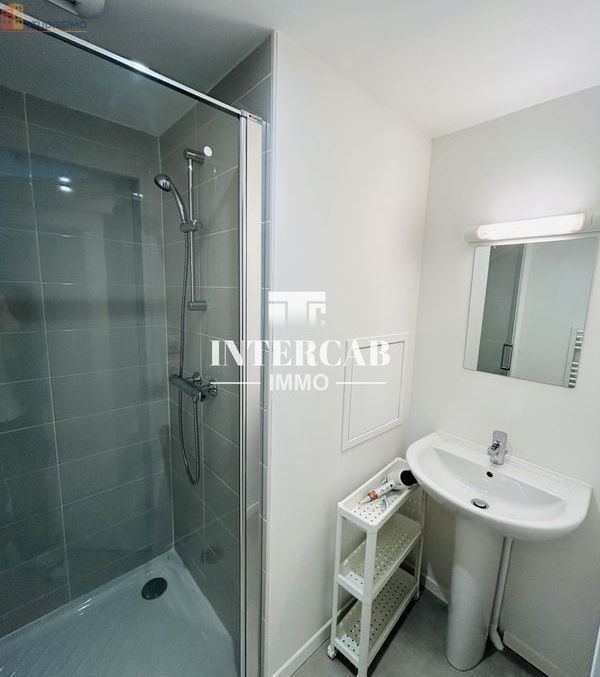 Studio 27m² Reims 51100 - Meublé, lumineux - Photo 5