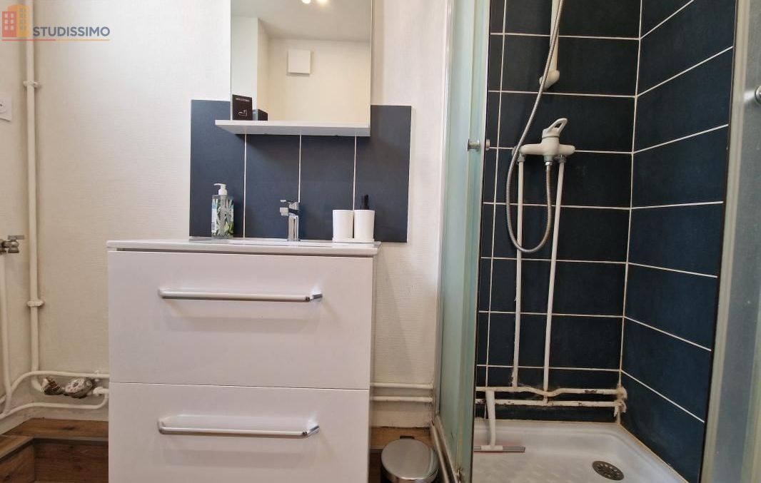 Studio meublé 21m² Reims 51100 - Meublé, 1 pièce - Photo 3