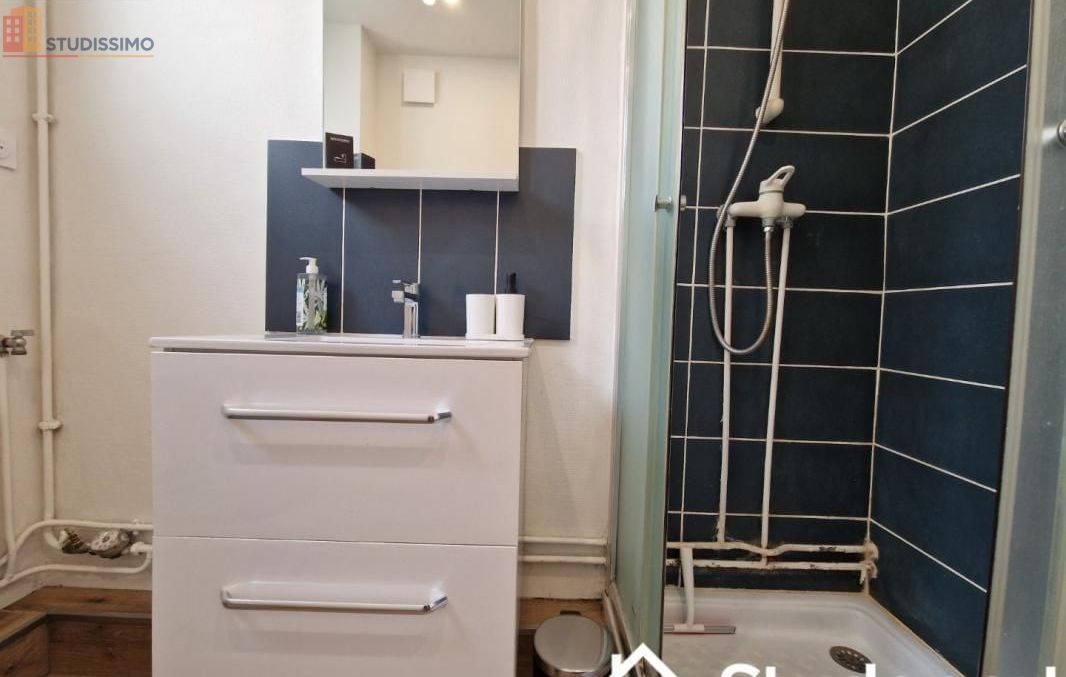 Studio meublé 21m² Reims - Lumineux, DPE A - Photo 1