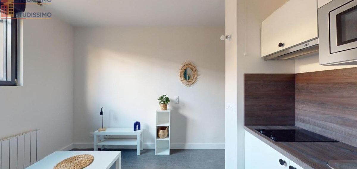 Studio meublé 20m² Reims 51100 - Meublé, DPE C - Photo 6