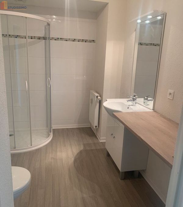 Studio 30m² Reims 51100 - Lumineux, meublé - Photo 1