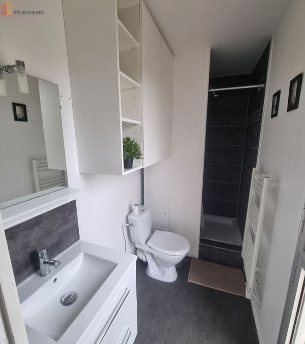 Studio meublé 18m² Reims 51100 - Lave-linge, lumineux - Photo 4