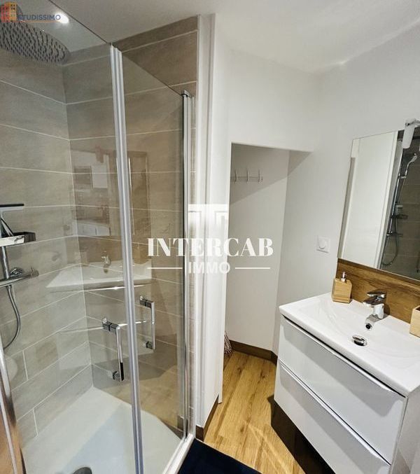 Studio meublé 20m² Reims 51100 - Meublé, 1 pièce - Photo 3