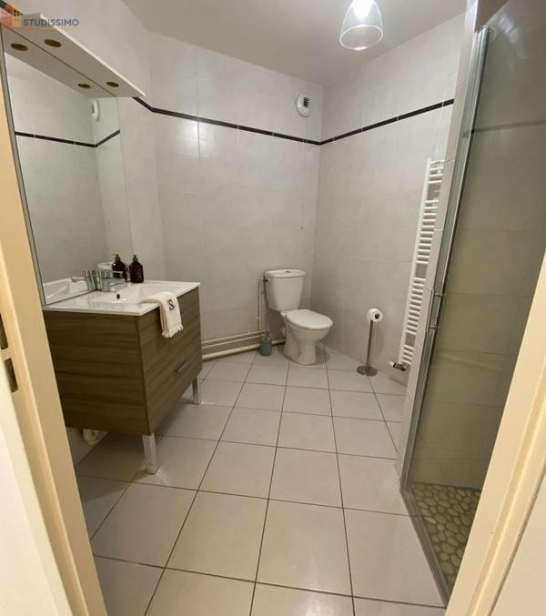Studio meublé 30m² Reims centre - Lumineux, 3e étage - Photo 8