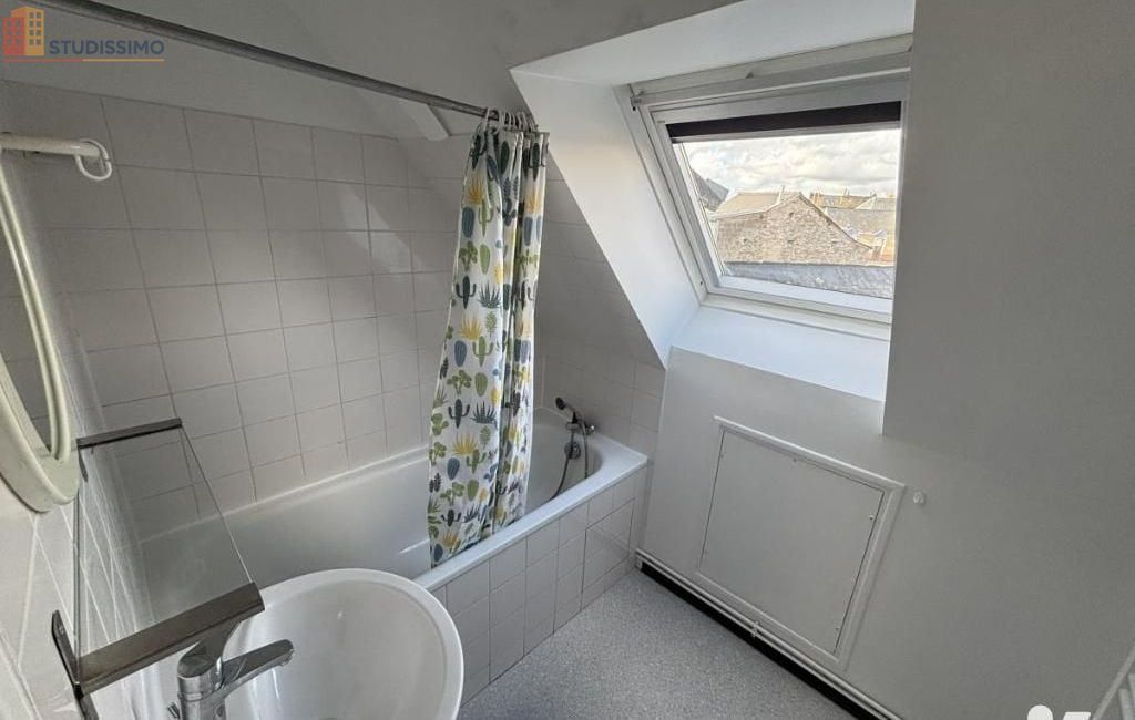 Studio meublé 22m² Laval - Meublé, DPE F - Photo 4
