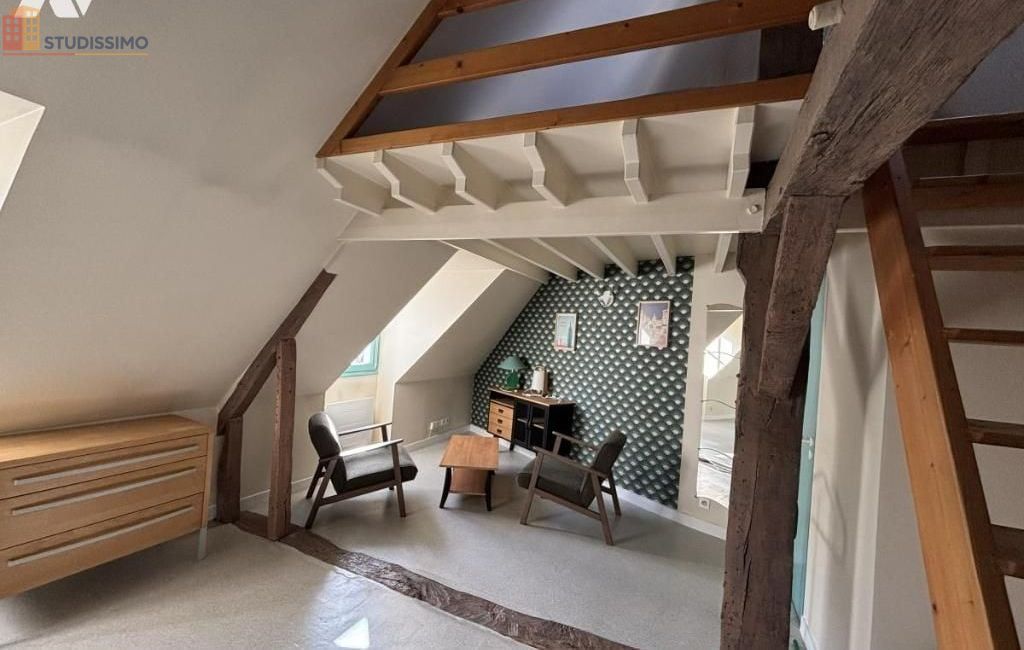 Studio meublé 22m² Laval - Meublé, DPE F - Photo 3