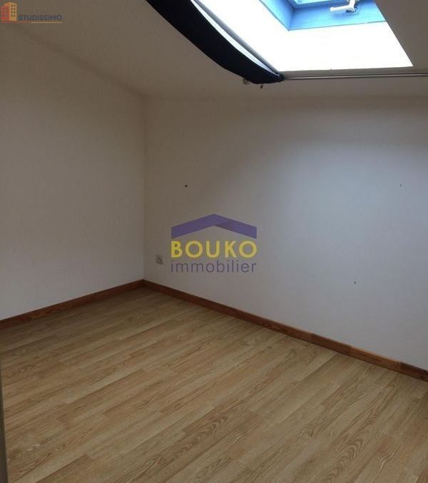 Studio 19m² Malzéville - Étage élevé, lumineux - Photo 4