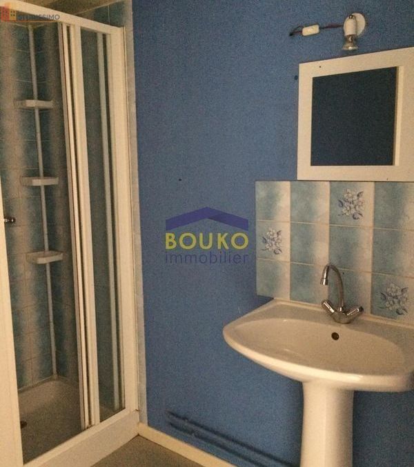Studio 19m² Malzéville - Étage élevé, lumineux - Photo 2