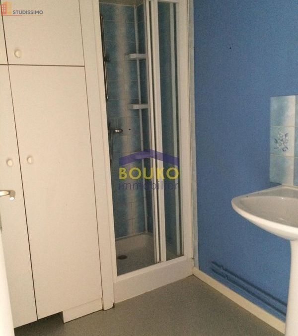 Studio 19m² Malzéville - Étage élevé, lumineux - Photo 3