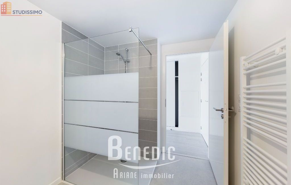 Studio 32m² Nancy 54000 - Lumineux, 3e étage - Photo 14