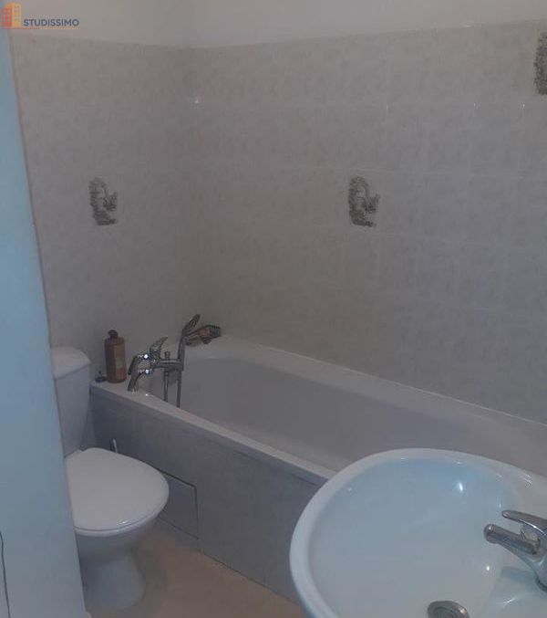 Studio 29m² Nancy 54000 - Lumineux, proche commodités - Photo 1