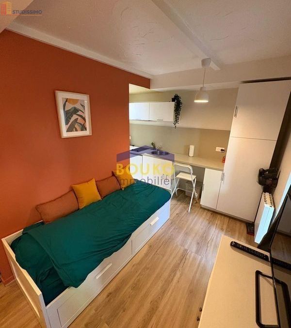Studio meublé 16m² Nancy 54000 - Meublé, DPE D - Photo 8