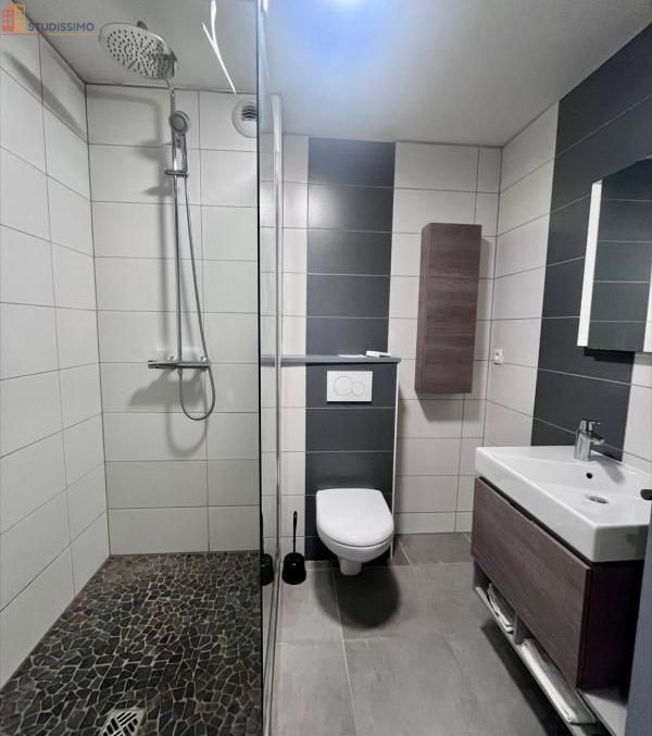 Studio meublé 31m² Nancy 54000 - Lumineux, calme - Photo 6
