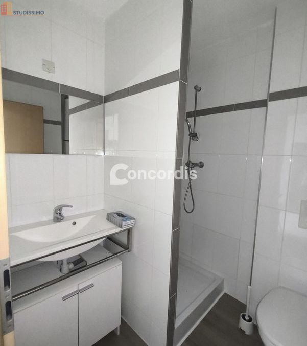 Studio 20m² Nancy 54000 - Meublé, lumineux - Photo 5