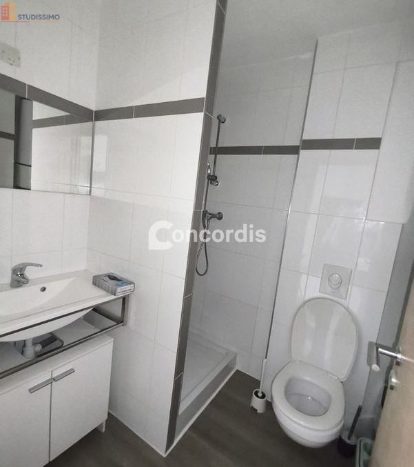 Studio 20m² Nancy 54000 - Meublé, lumineux - Photo 4