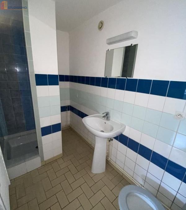 Studio 28m² Lunéville - Lumineux - Photo 2