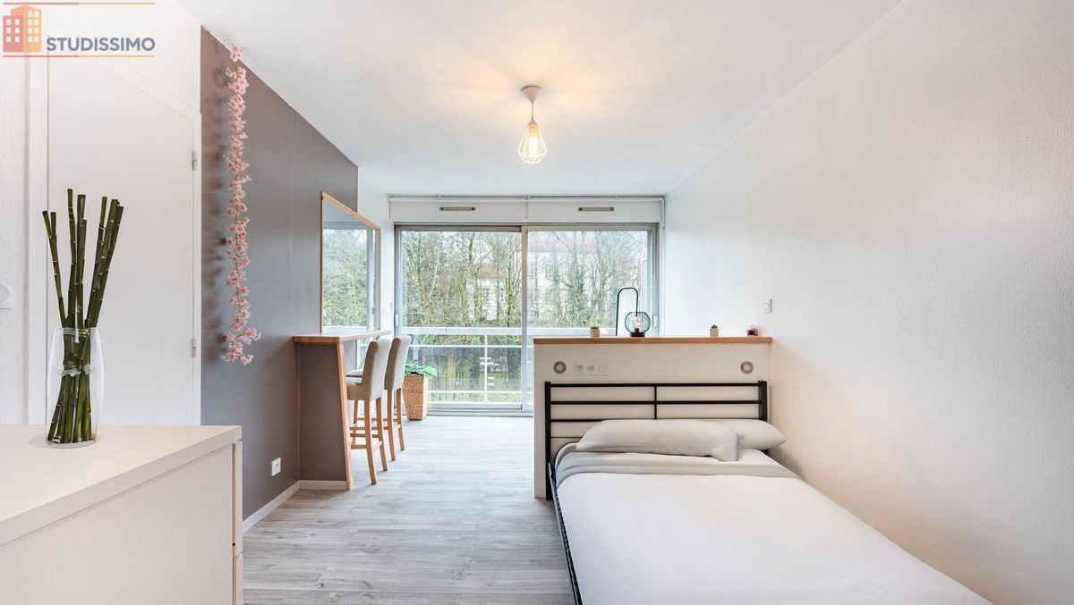 Studio meublé 25m² Nancy 54000 - Lumineux, dernier étage - Photo 5