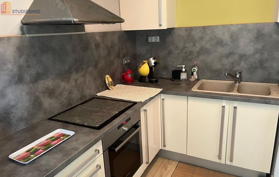 Studio meublé 46m² Saint-Max - Lumineux, 2e étage - Photo 2