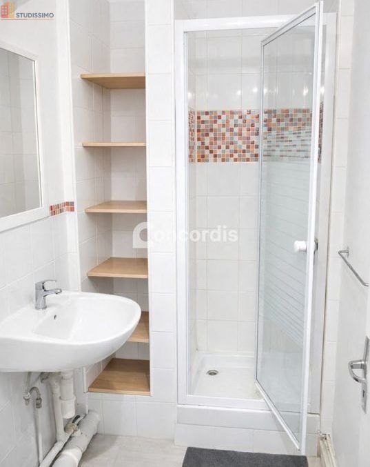 Studio meublé 20m² Nancy 54000 - Meublé, 1 pièce - Photo 3