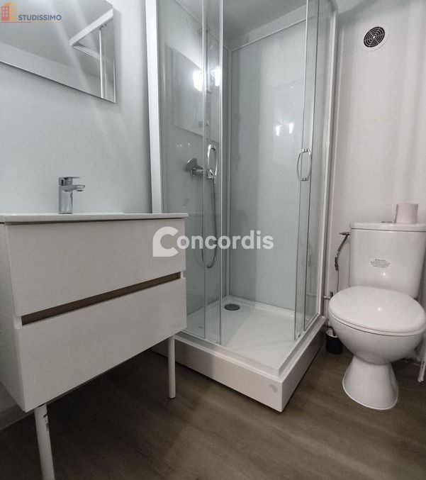 Studio meublé 21m² Nancy 54000 - Lumineux, 1er étage - Photo 2