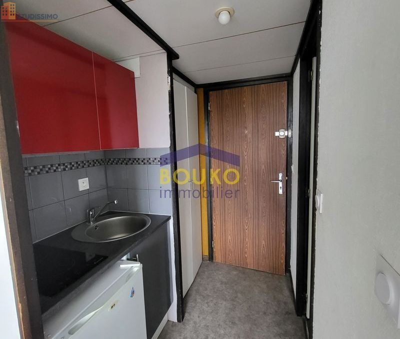 Studio 19m² Vandoeuvre-lès-Nancy - 3e étage, lumineux - Photo 1