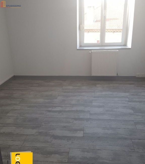 Studio 42m² Lunéville - Lumineux, 2e étage - Photo 1