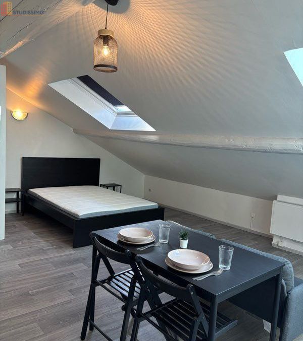 Studio 20m² Nancy 54000 - Meublé, proche IUT - Photo 4