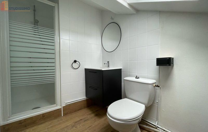 Studio meublé 15m² Nancy 54000 - Proche IUT, lumineux - Photo 0