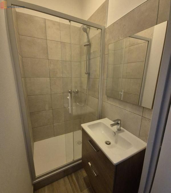 Studio 27m² Nancy 54000 - Duplex, lumineux - Photo 6