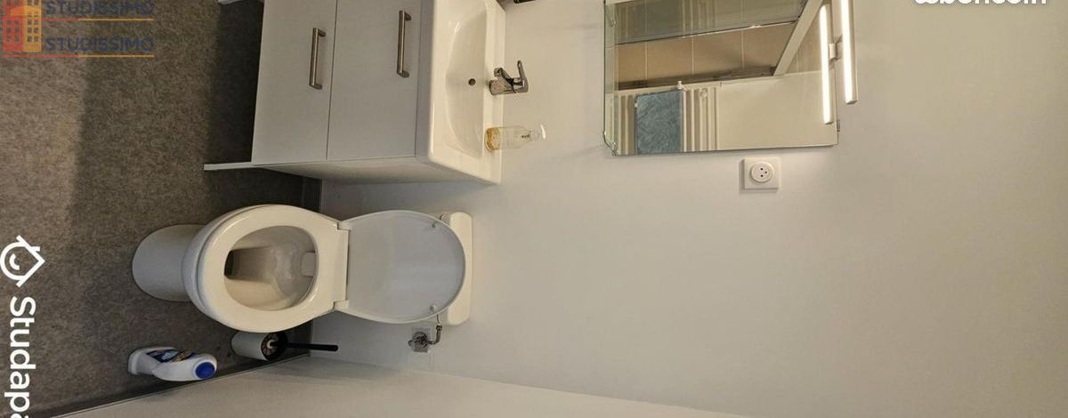 Studio meublé 24m² Vandoeuvre-lès-Nancy - Meublé, 1 pièce - Photo 4