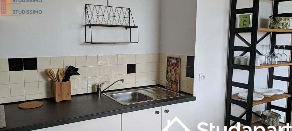 Studio meublé 13m² Vandoeuvre-lès-Nancy - Étage élevé, lumineux - Photo 3