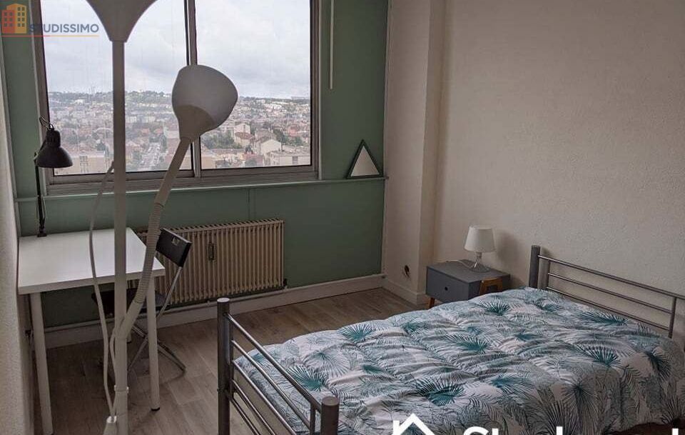 Studio meublé 13m² Vandoeuvre-lès-Nancy - Étage élevé, lumineux - Photo 2