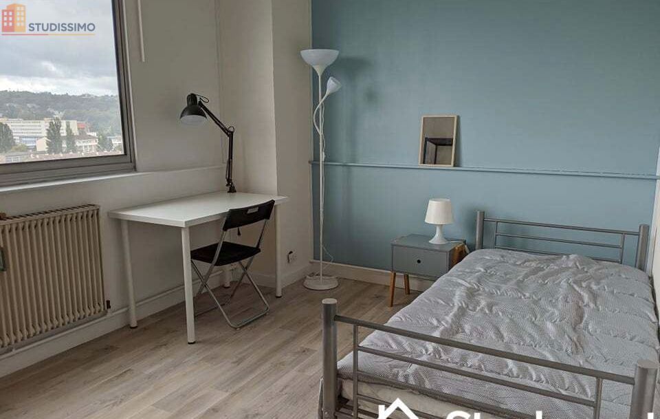 Studio meublé 13m² Vandoeuvre-lès-Nancy - Étage élevé, lumineux - Photo 1