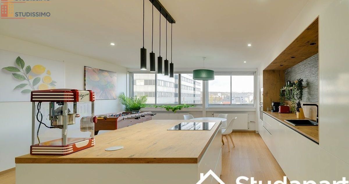 Studio meublé 13m² Vandoeuvre-lès-Nancy - 6e étage, lumineux - Photo 6