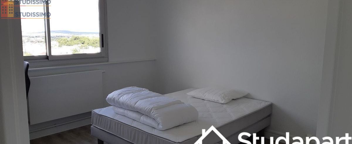 Studio meublé 10m² Vandoeuvre-lès-Nancy - Étage élevé, lumineux - Photo 1
