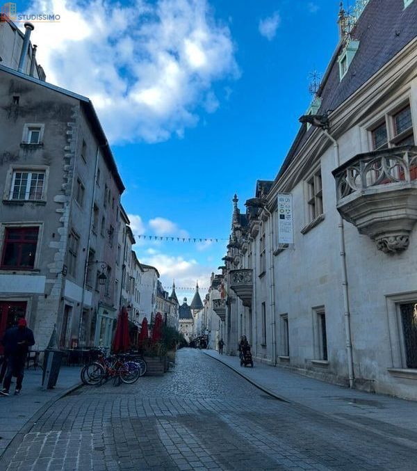 Studio meublé 28m² Nancy 54000 - Meublé, lumineux - Photo 2