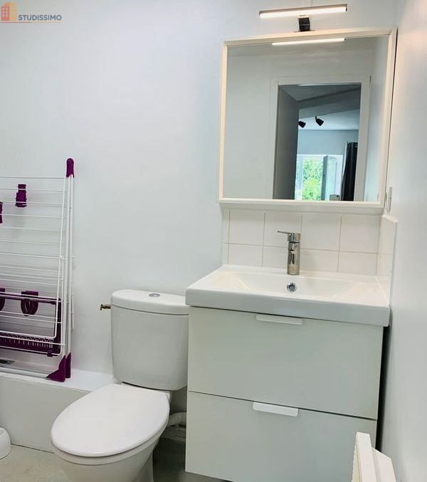 Studio 20m² Nancy centre - Meublé, proche Place Stanislas - Photo 3