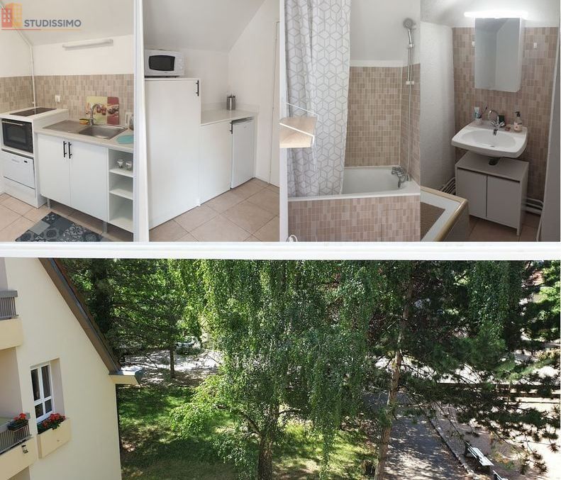Studio 33m² Villers-lès-Nancy - Meublé, DPE D - Photo 4