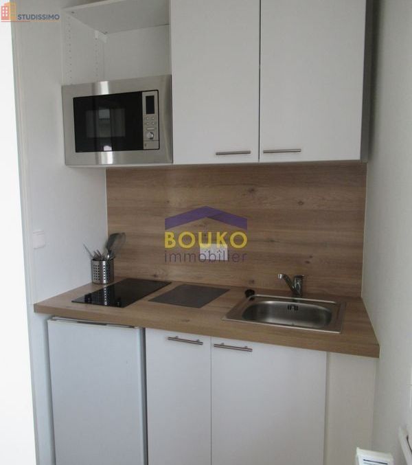 Studio meublé 23m² Nancy centre - Meublé, 2e étage - Photo 4