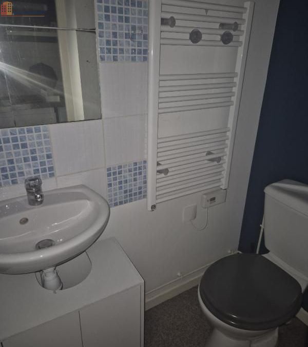Studio meublé 15m² Nancy 54000 - Meublé, DPE C - Photo 1
