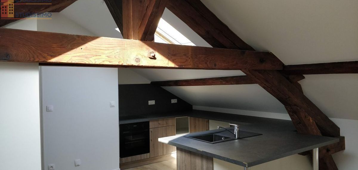 Studio 30m² Nancy 54000 - Lumineux, proche pépinière - Photo 8