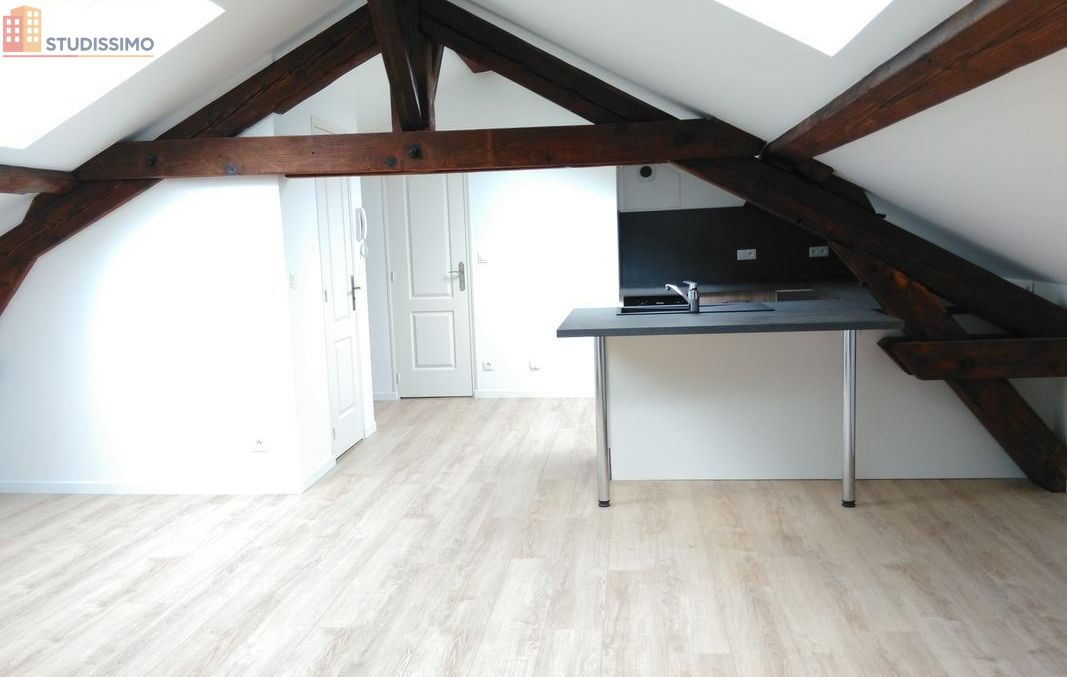 Studio 30m² Nancy 54000 - Lumineux, proche pépinière - Photo 7