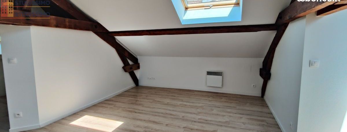Studio 30m² Nancy 54000 - Lumineux, proche pépinière - Photo 6
