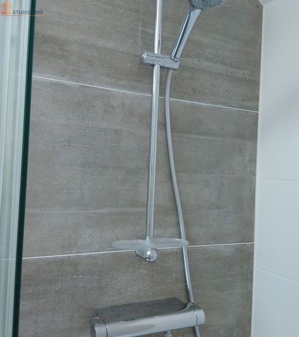 Studio 30m² Nancy 54000 - Lumineux, proche pépinière - Photo 4