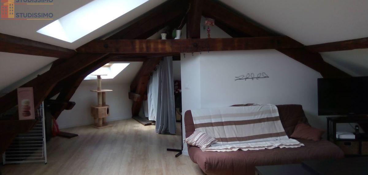 Studio 30m² Nancy 54000 - Lumineux, proche pépinière - Photo 2