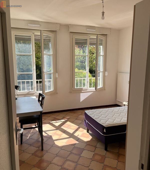 Studio 31m² Nancy centre - Proche Carnot Léopold - Photo 2