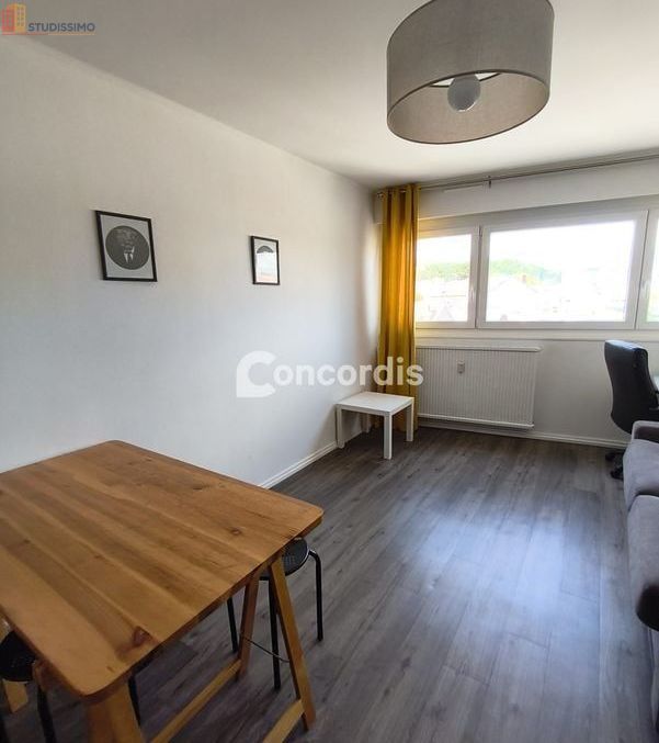 Studio meublé 25m² Nancy 54000 - 5e étage, lumineux - Photo 4