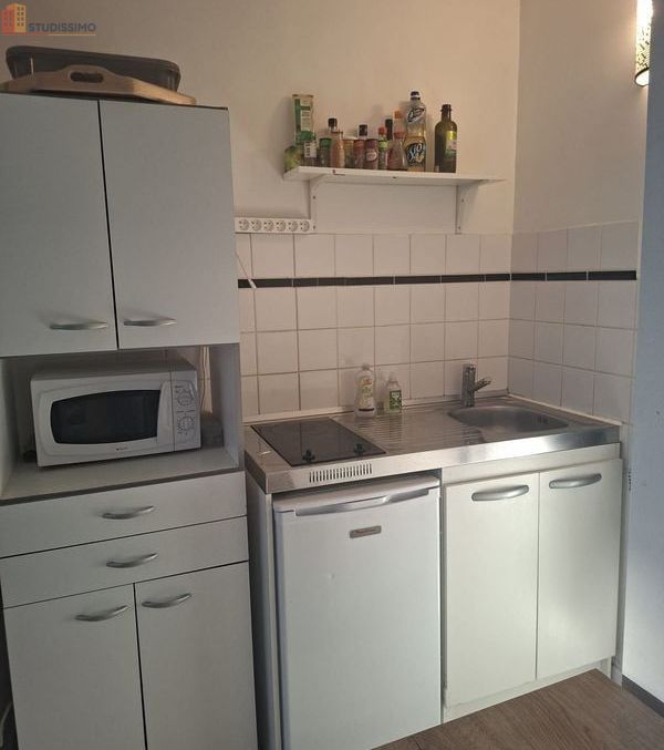 Studio meublé 25m² Nancy centre - Calme, lumineux - Photo 5