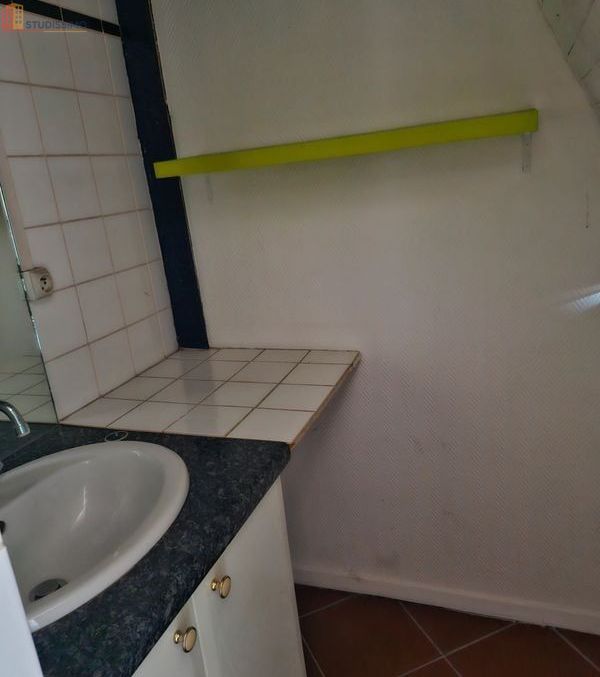 Studio 18m² Nancy 54000 - Avec mezzanine - Photo 12