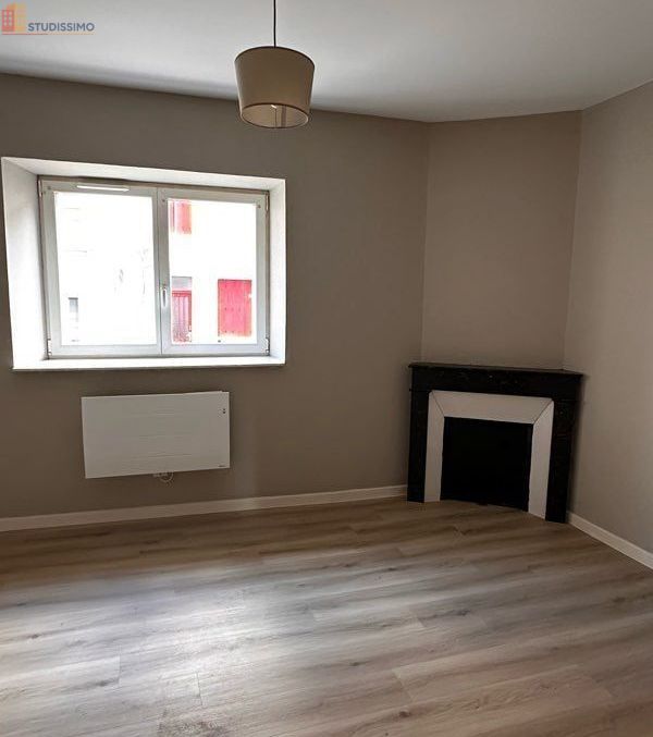 Studio 22m² Nancy centre - Rénové, cour privative - Photo 3